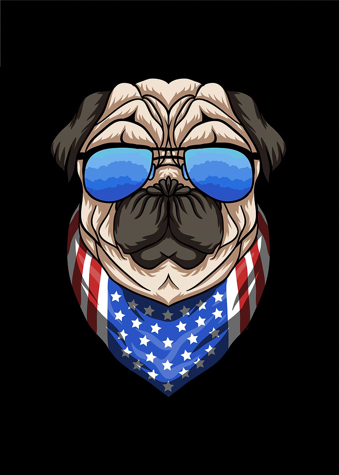 Pug Dog in Sunglasses USA
