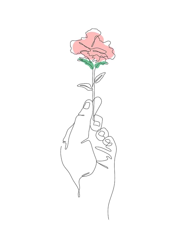 Continuous Line Drawing