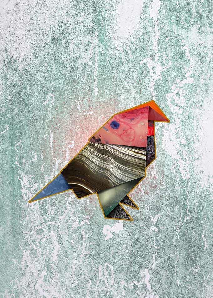 Bird Origami