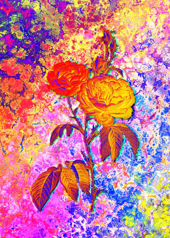 Neon Floral Illustration