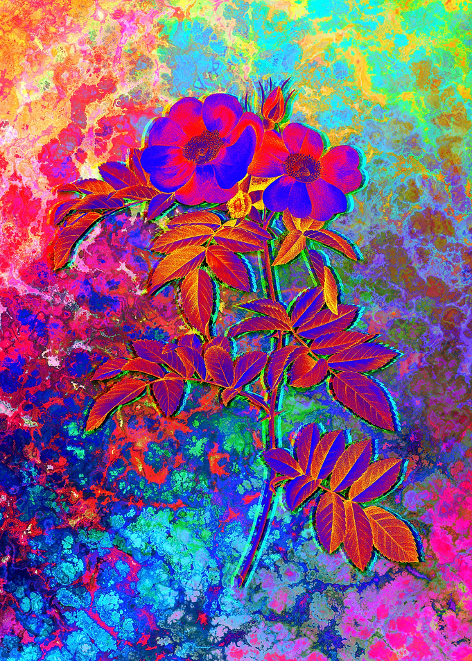 Neon Botanical Drawing