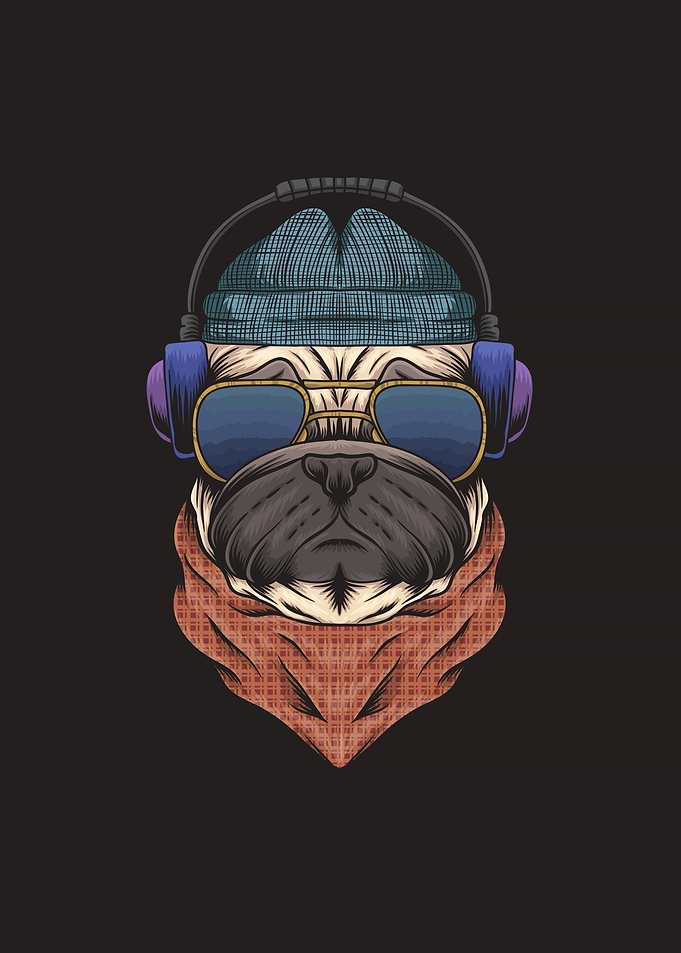 Pug Dog listen to Music