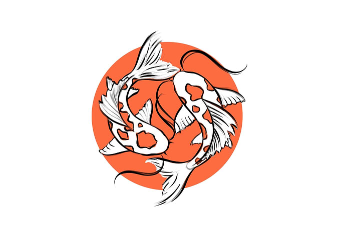 Animal Koi Fishes Koi Fish
