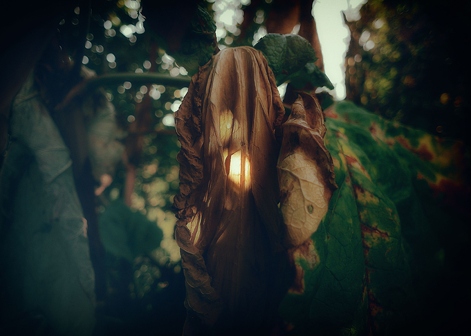 Hanging head