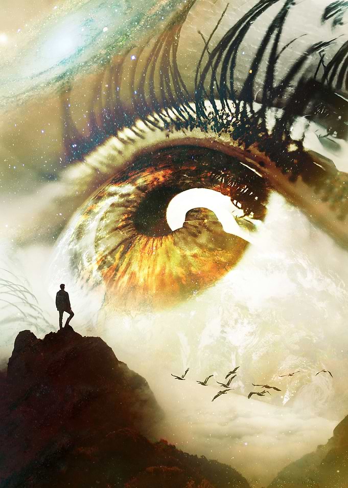 Vision