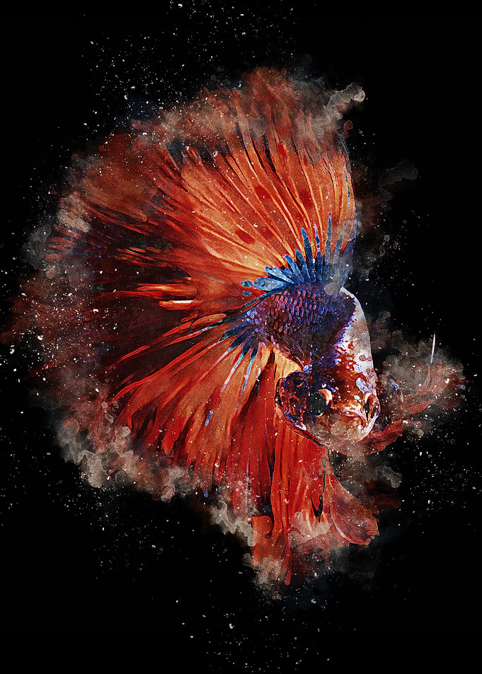 Cupang Painting