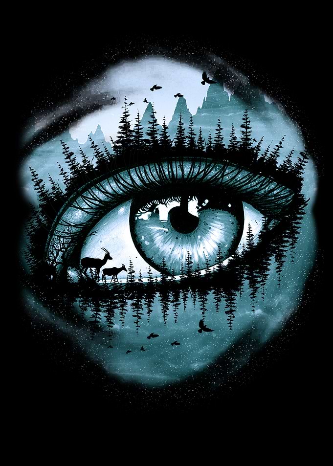 Eye in the sky