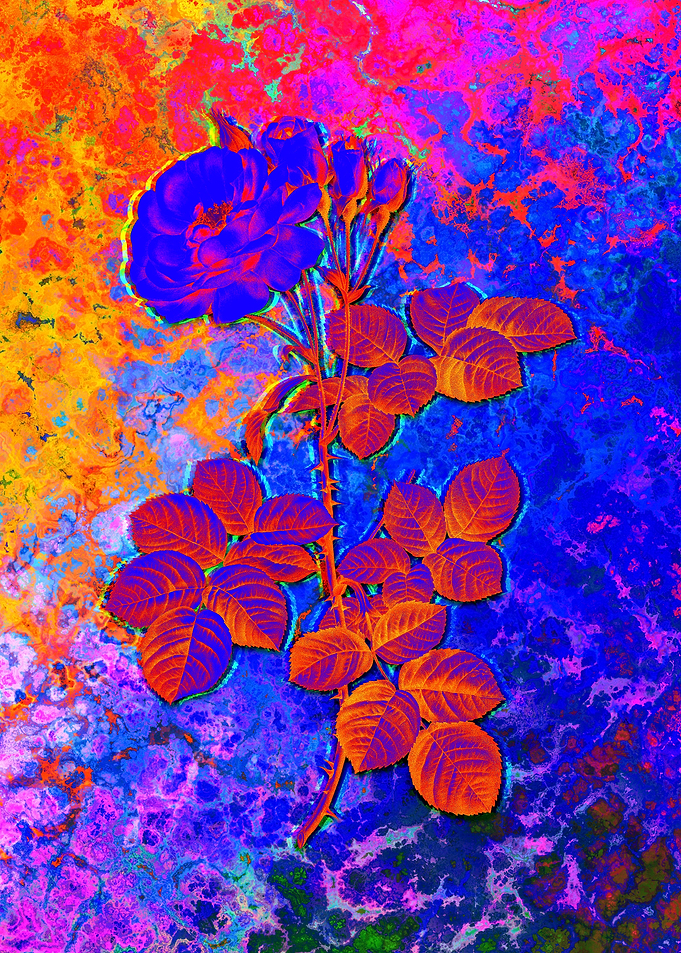 Neon Botanical Drawing