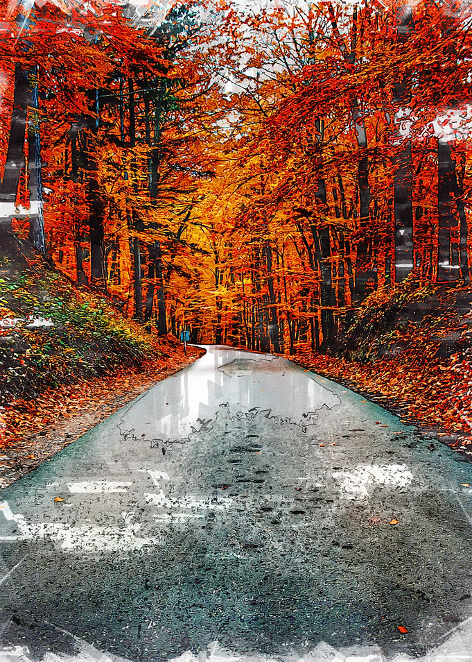 Autumn Forest In Hungary