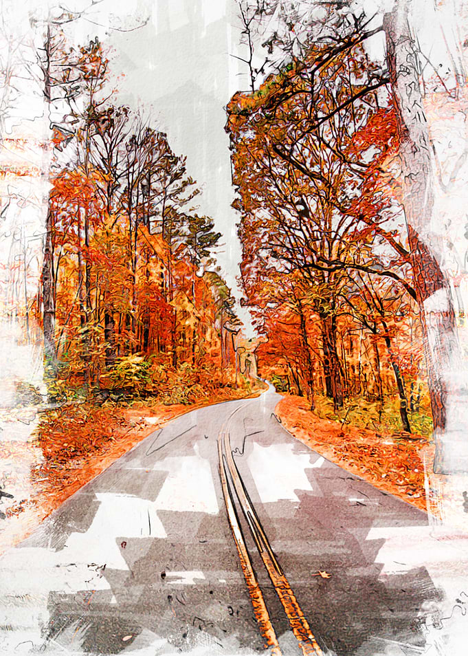 Autumn Mood Forest Drive