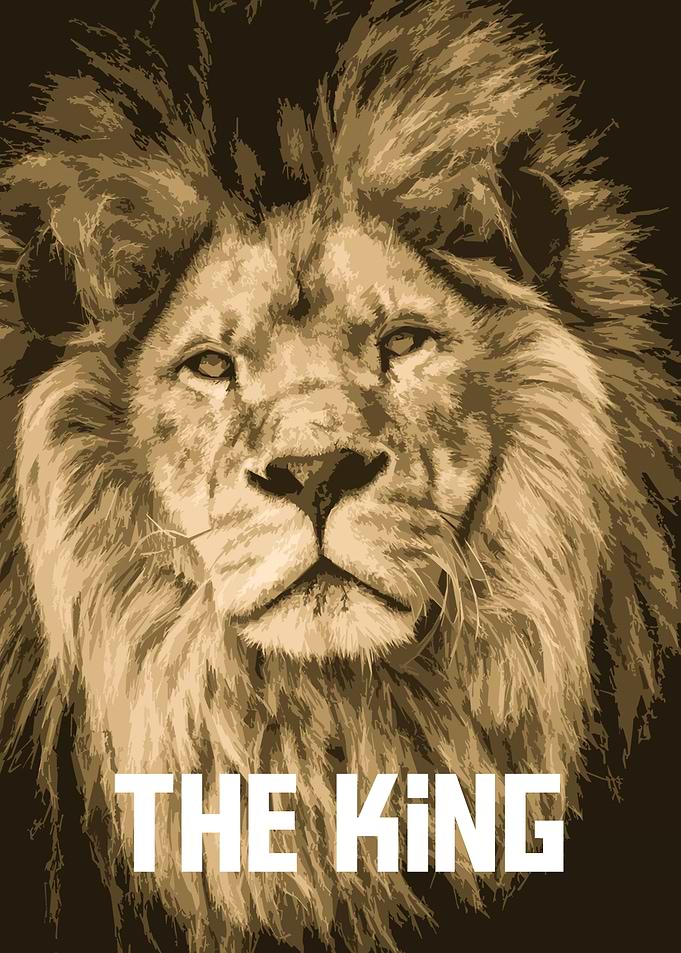 the lion 4