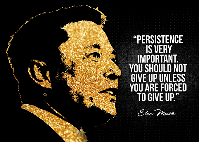 Elon Musk quotes