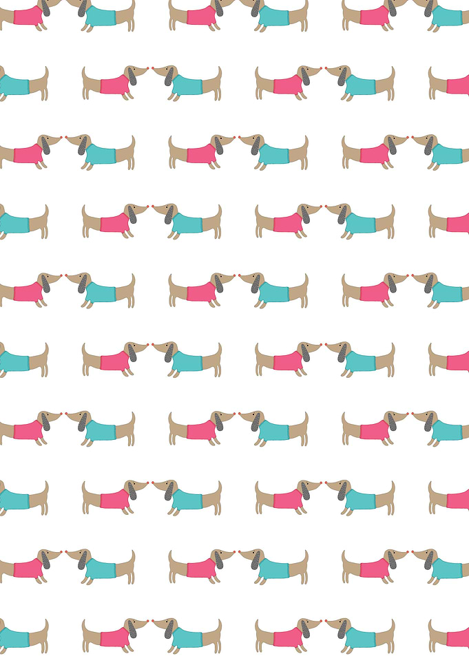 Dachshunds in love