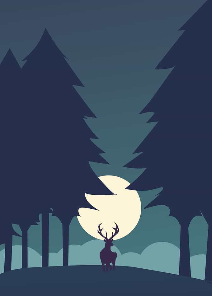 Finding Deers