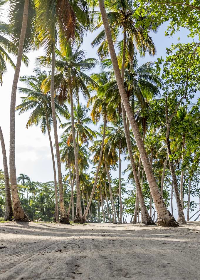 Beach Way