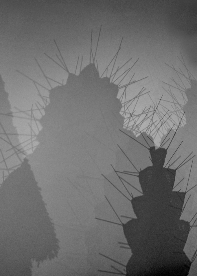 shadows