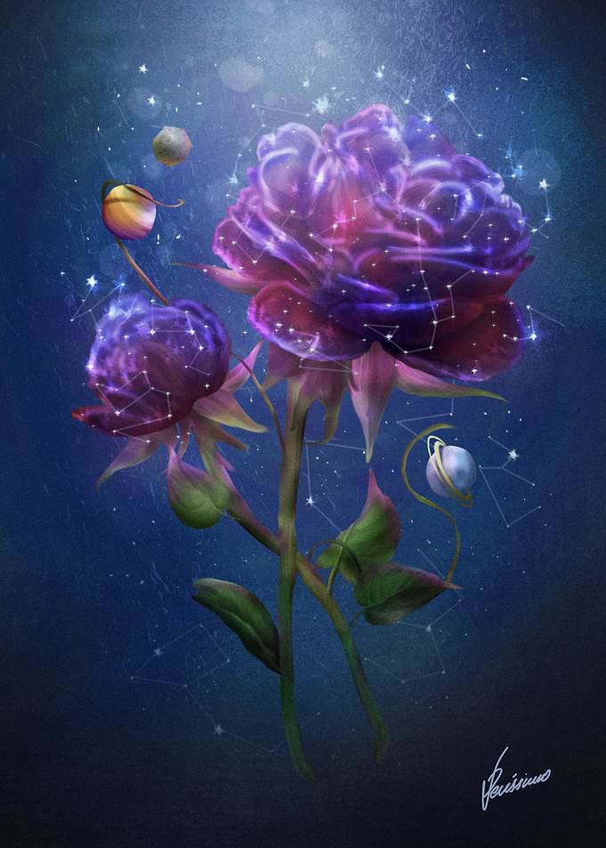 Cosmic Flower
