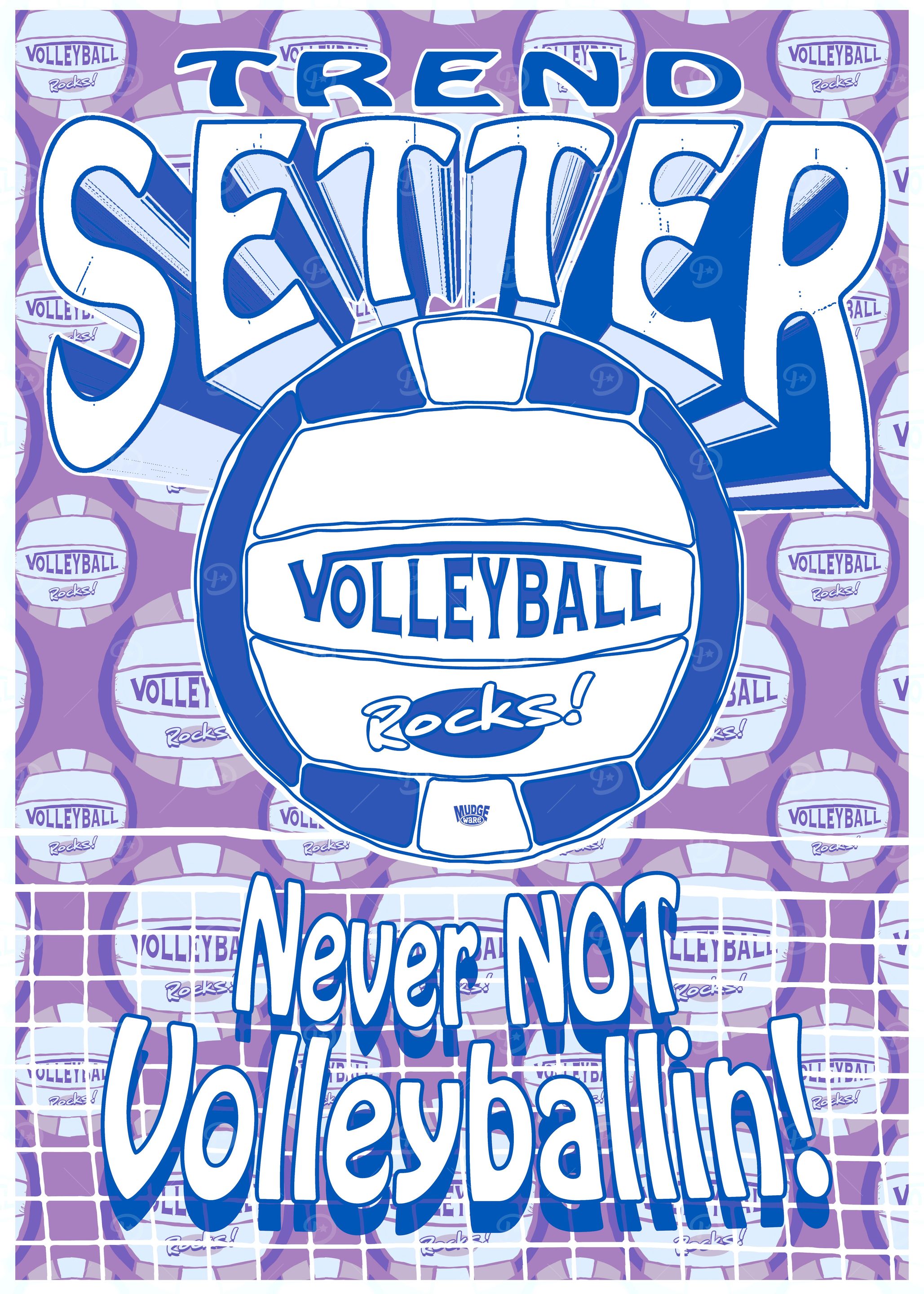 Trend Setter Volleyballin