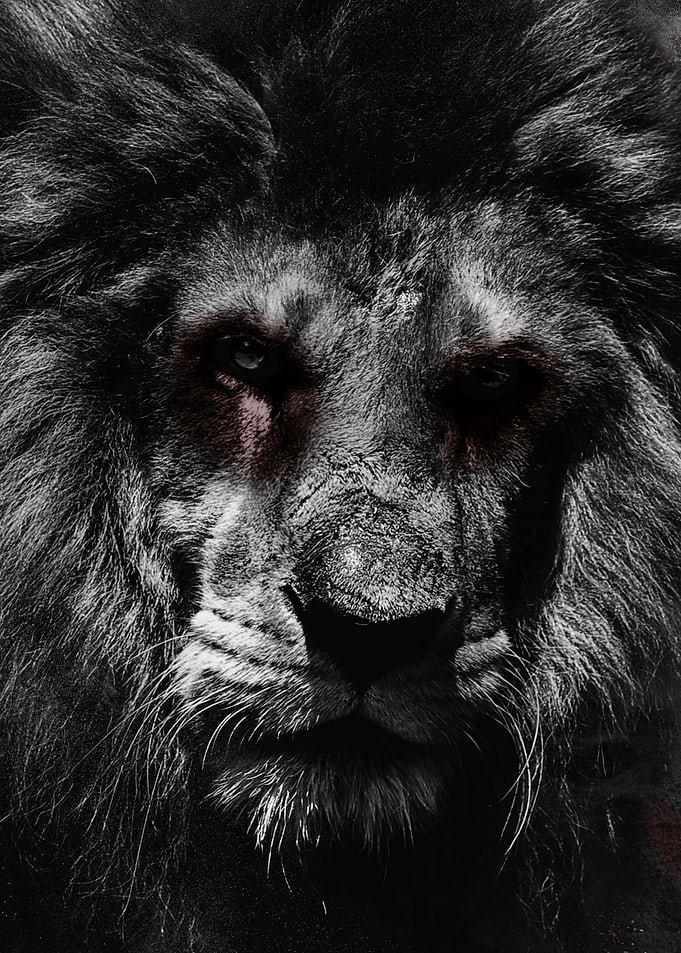 The Undead King