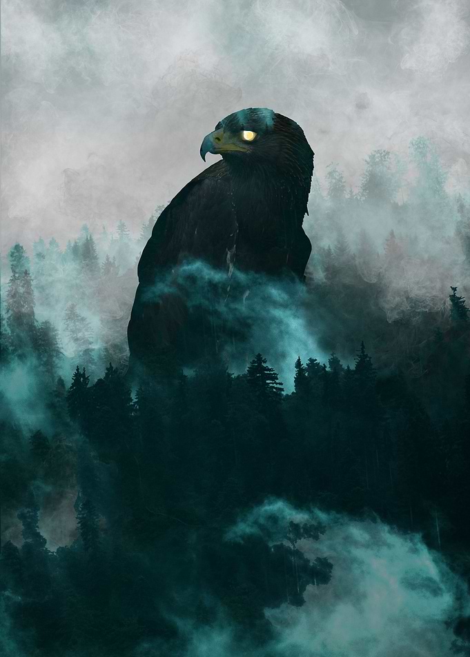 Forest Eagle
