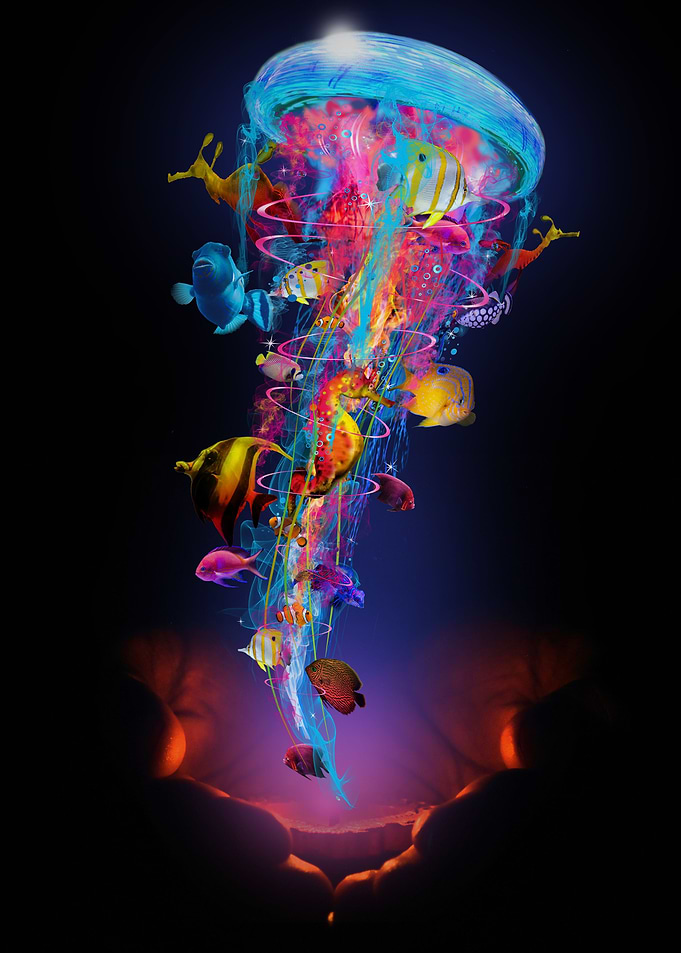Floating Jellyfish