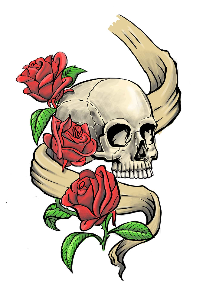 Skull
