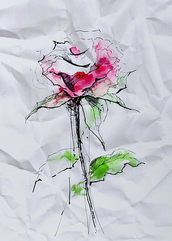 Rose. Secret of Happiness