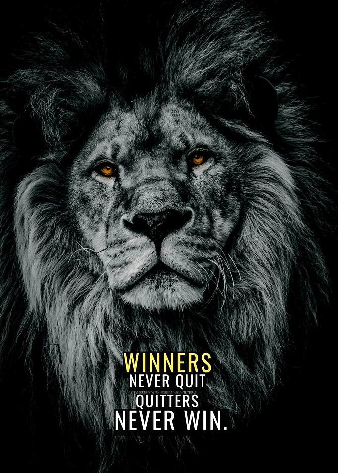 Winning Orange Lion
