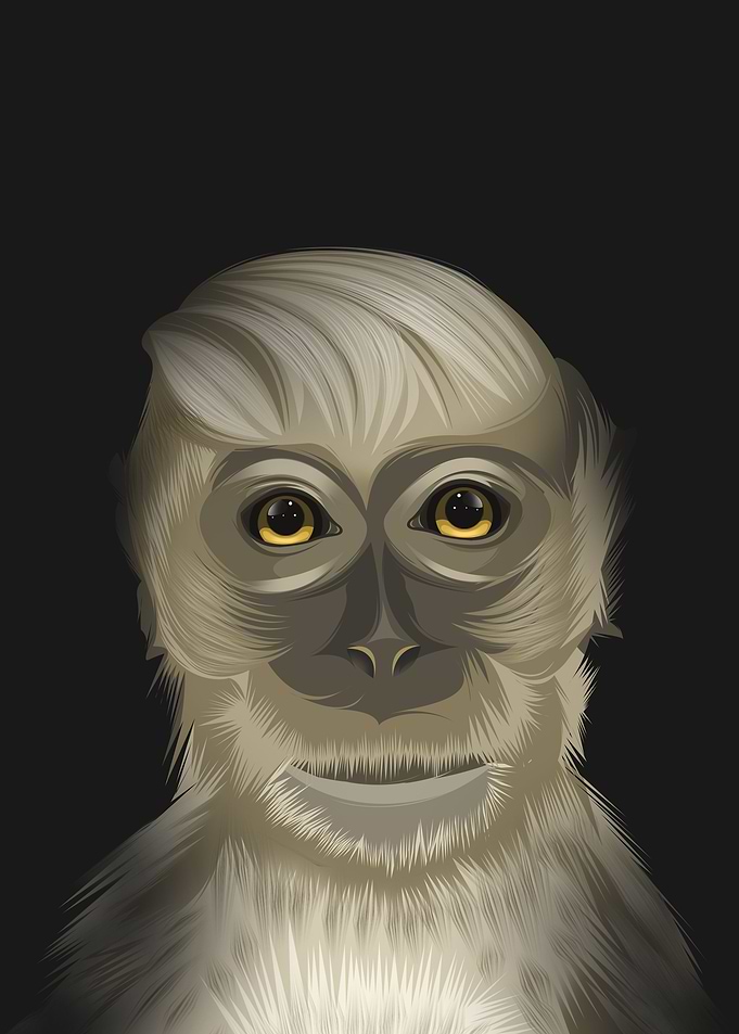 Handsome monkey