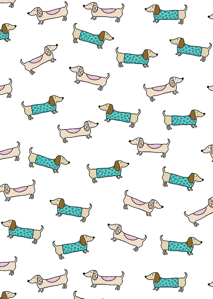 Cute pair of dachshunds