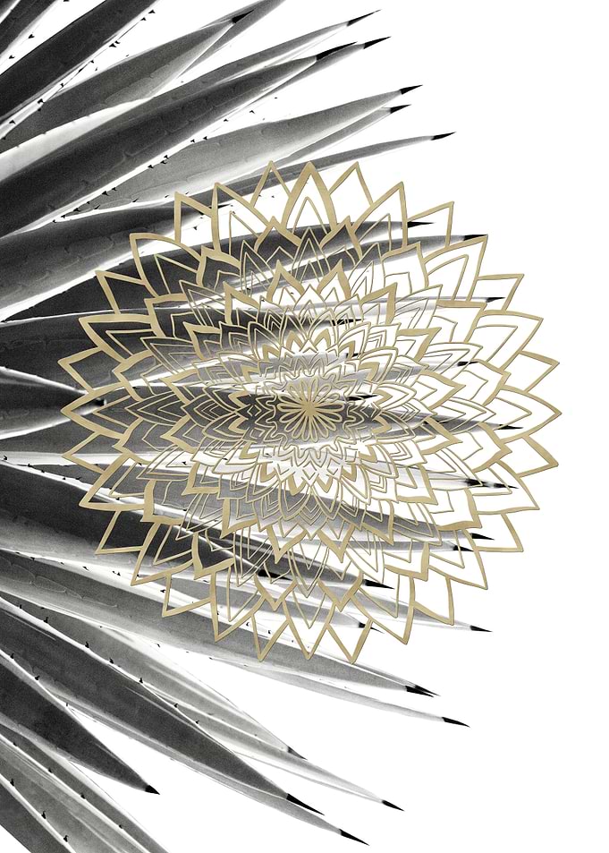 Gold Mandala on Agave 1
