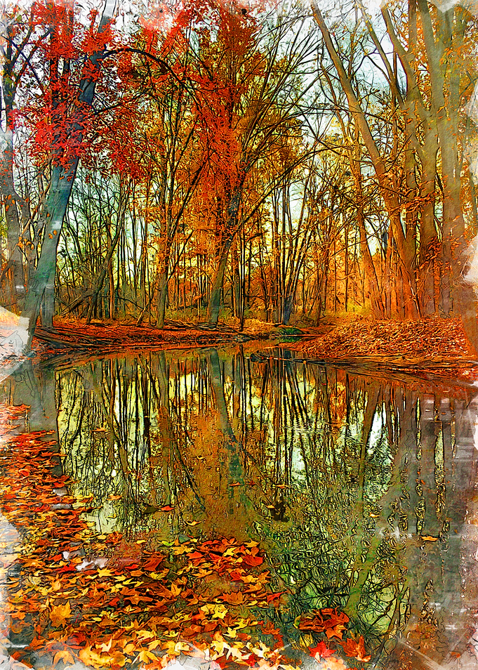 Sycamore Autumn Moods