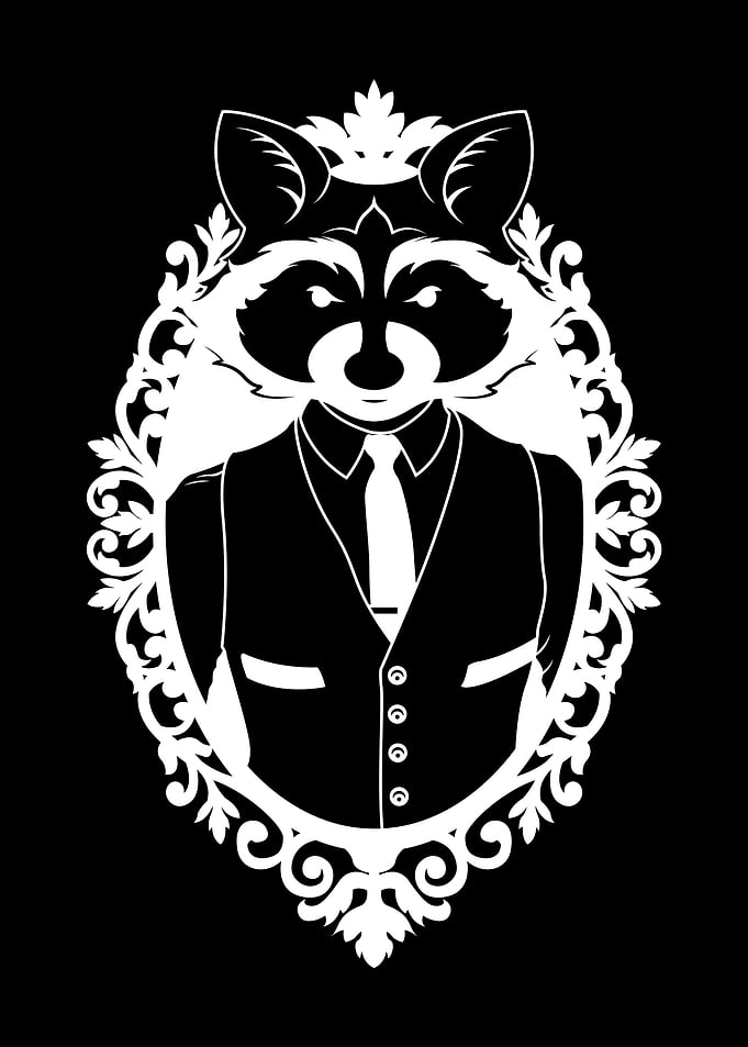 Classy Racoon