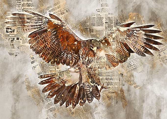 Eagle Art 2
