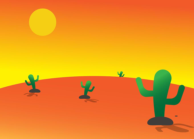 Afternoon Desert