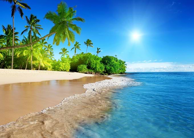 Tropical Beach