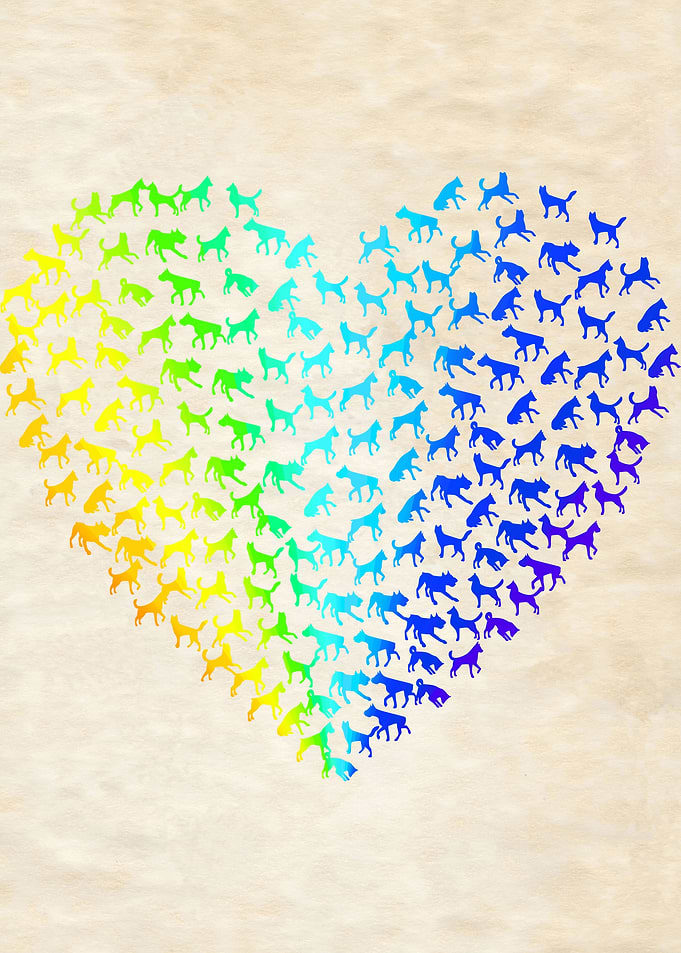 Dog Heart Rainbow