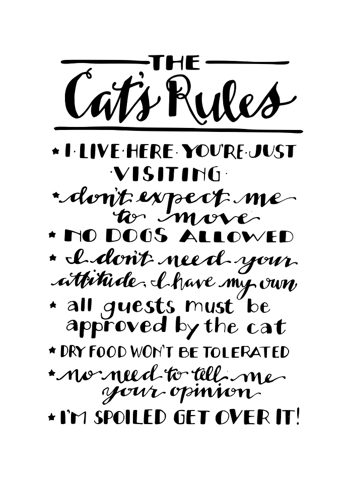 Cats rules