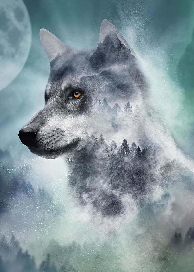 Inspired by Nature