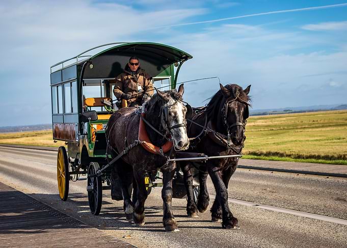 Horses and People