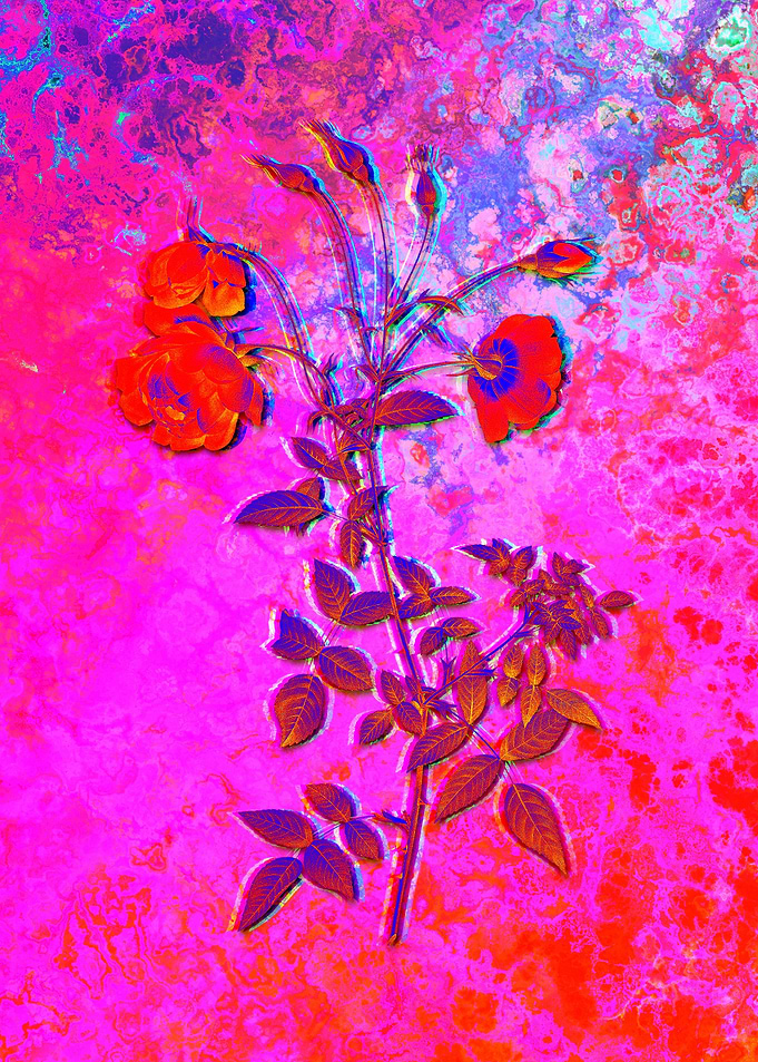 Neon Flower Illustration