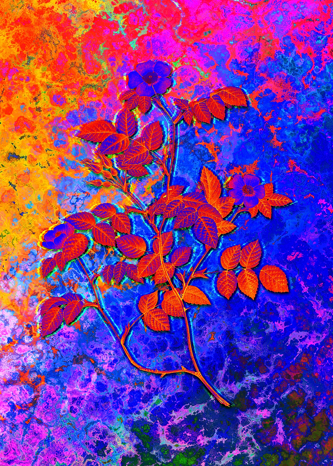 Neon Flower Illustration