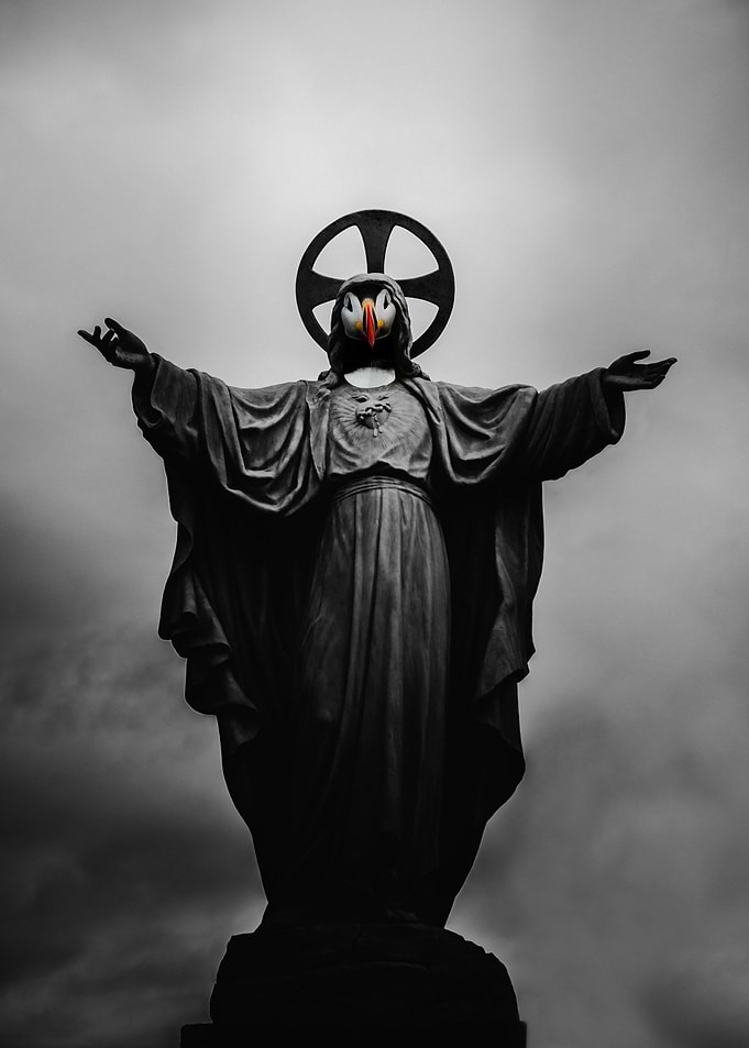 God is a bird
