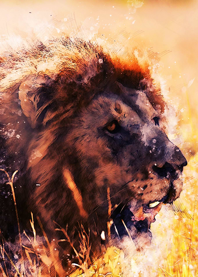 Head lion painting