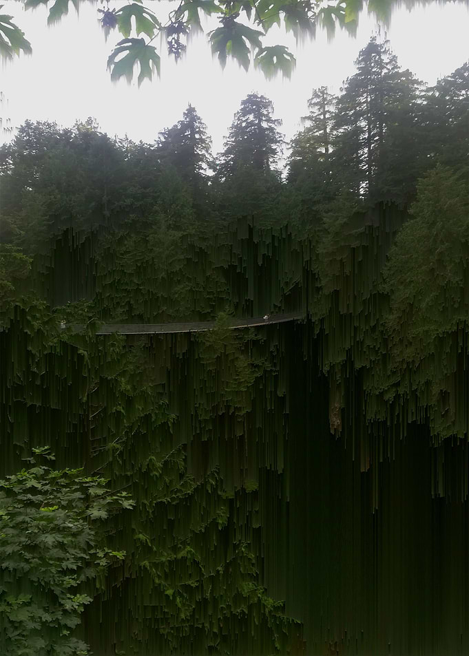Forest Bridge