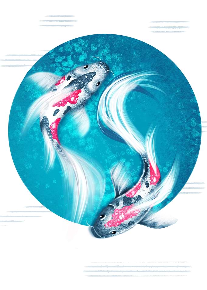 fish illustration