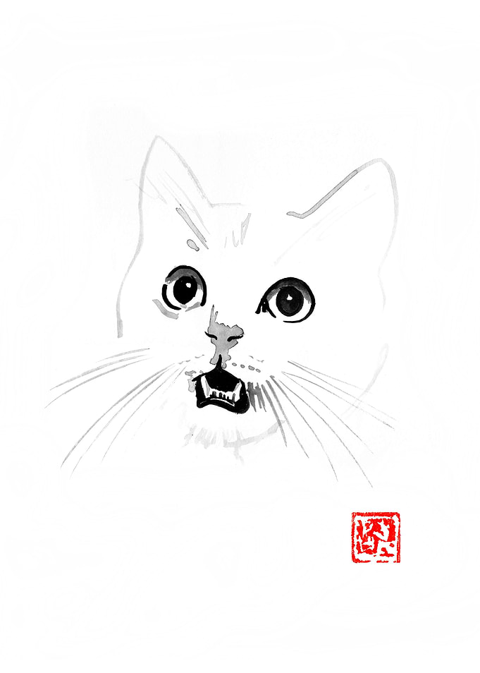 chat pas content