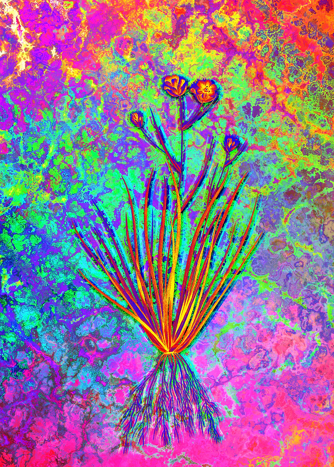 Neon Floral Illustration