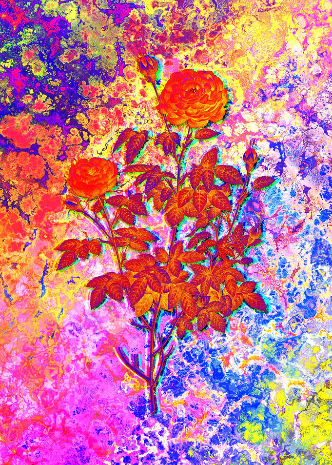 Neon Botanical Drawing