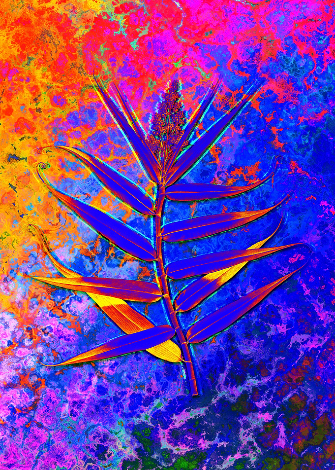 Neon Botanical Drawing